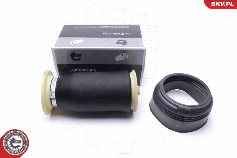 Air Spring, suspension